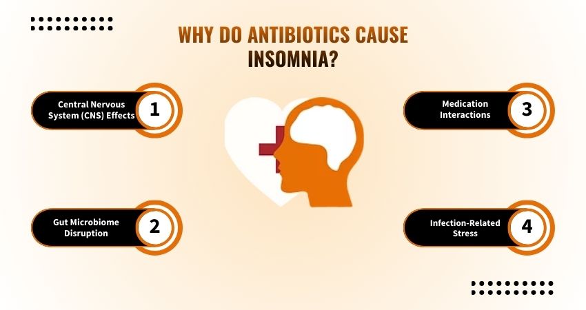 Why Do Antibiotics Cause Insomnia