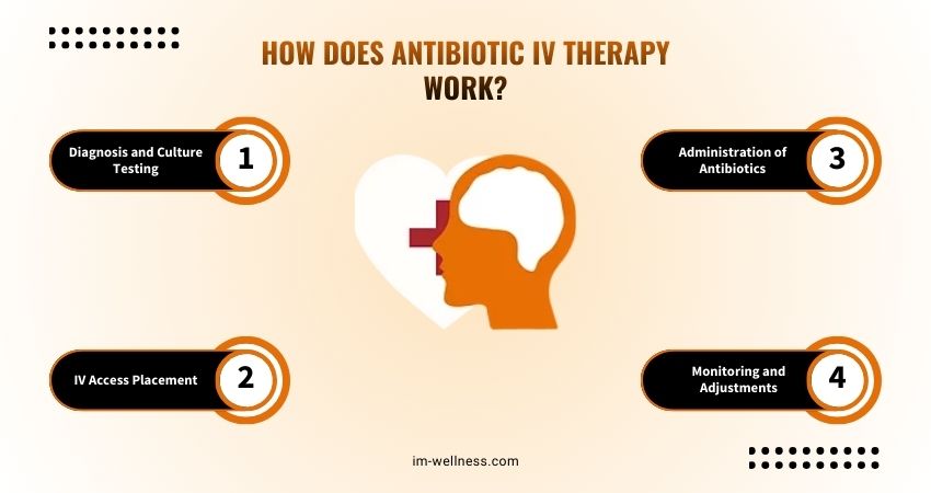 What is Antibiotic IV Therapy? How Does It Work? 1 How Does Antibiotic IV Therapy Work