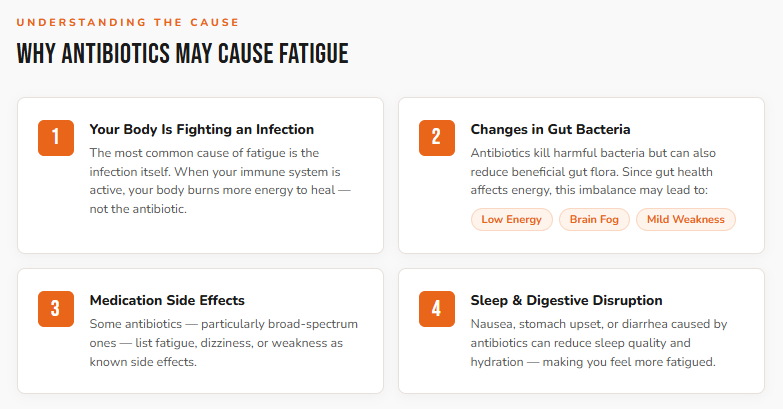 Can Antibiotics Make You Tired? 1 Why Antibiotics May Cause Fatigue